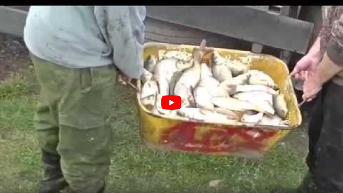 Výlov rýb v Tomašovciach 2015