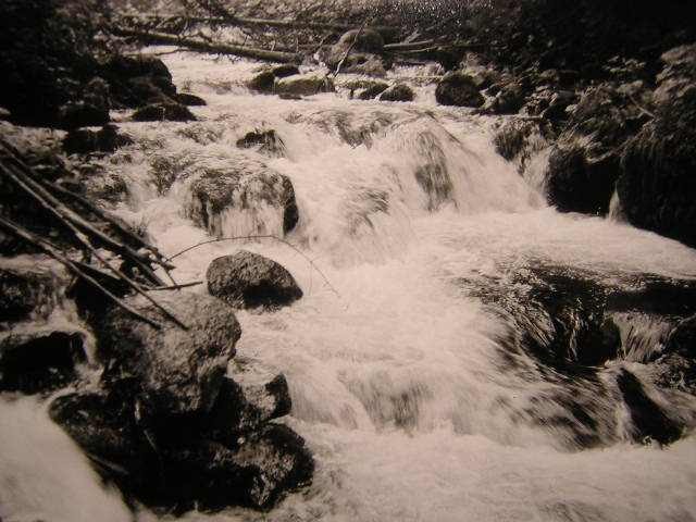 Pstruhový potok v Podbrezovej-95